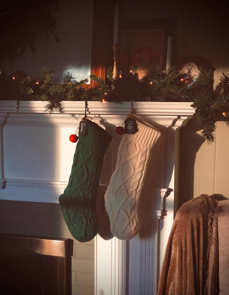 erica-marsland-huynh-ekNpcSdeh9E-unsplash Enfeites de Natal Significados