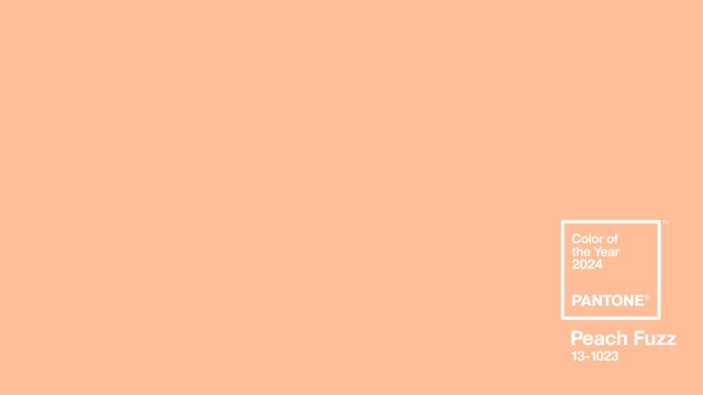 pantone-coy2024-wallpaper-download-solidcolor-2560×1440 Cor Pantone 2024- Peach Fuzz