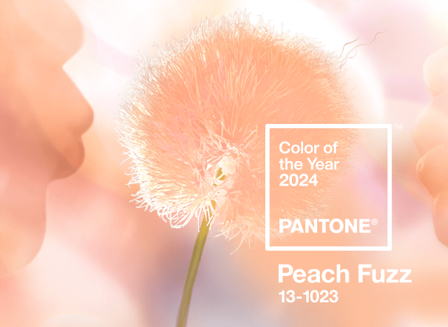 Cor Pantone 2024- Peach Fuzz