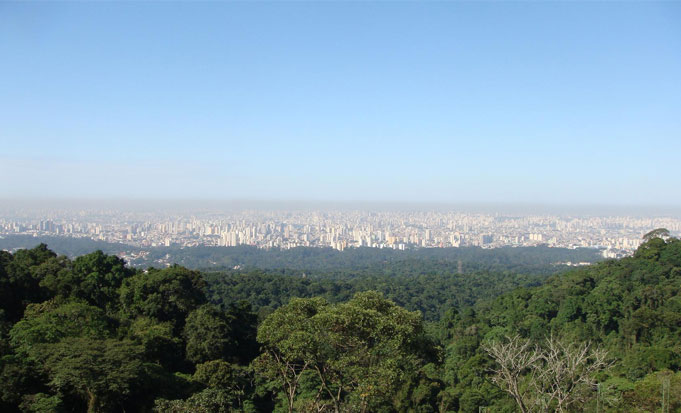 Parque Estadual da Cantareira 