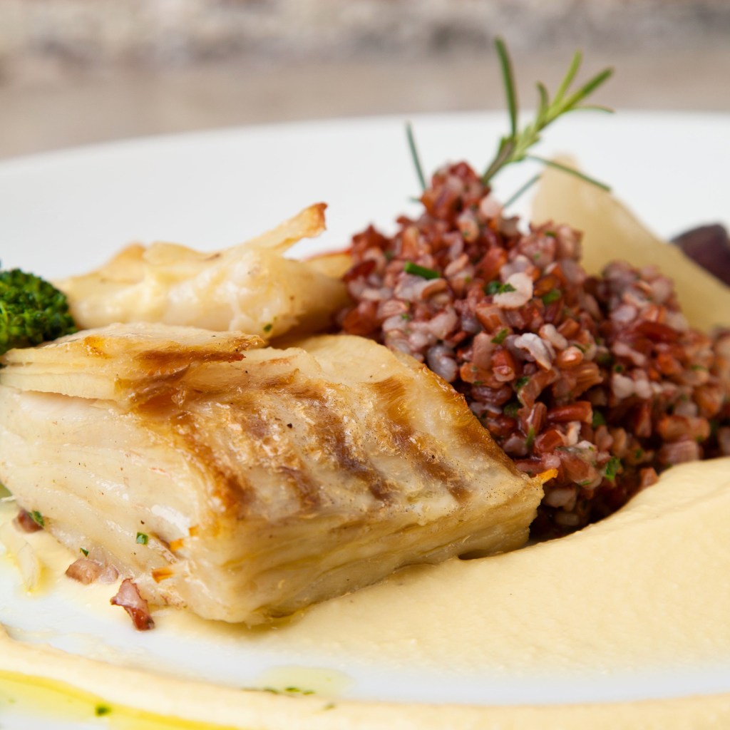 434451730_334273079649057_8131932899738290660_n NOU - Bacalhau assado