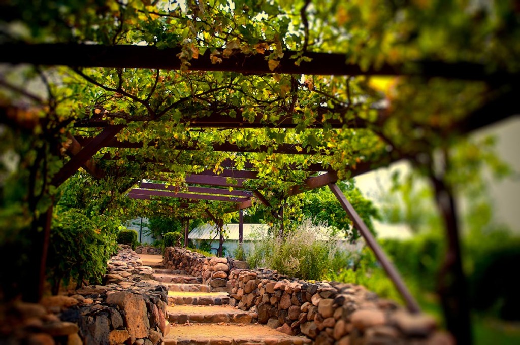 sao-roque São Roque Rota do Vinho