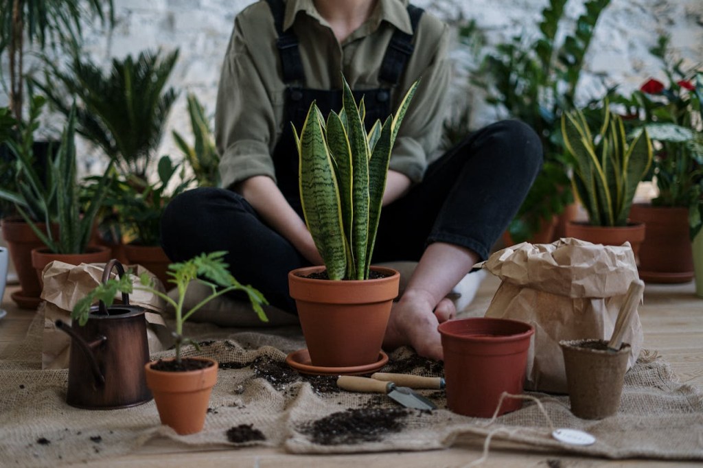 casa-outono-plantas Faça podas e capriche na adubação