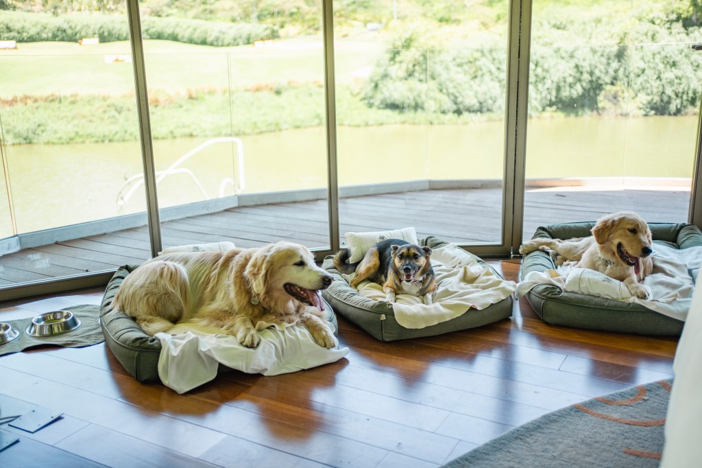 unique-garden-pet-friendly 10 hotéis para você viajar com o seu pet